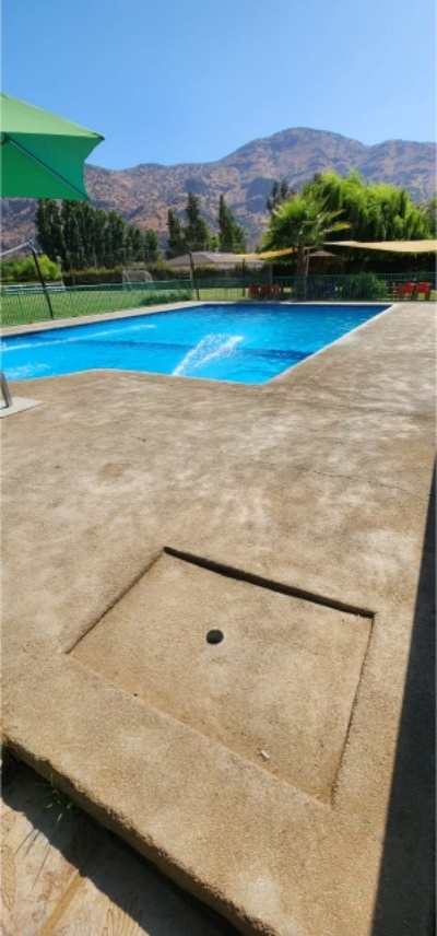 foto pisicna vertical